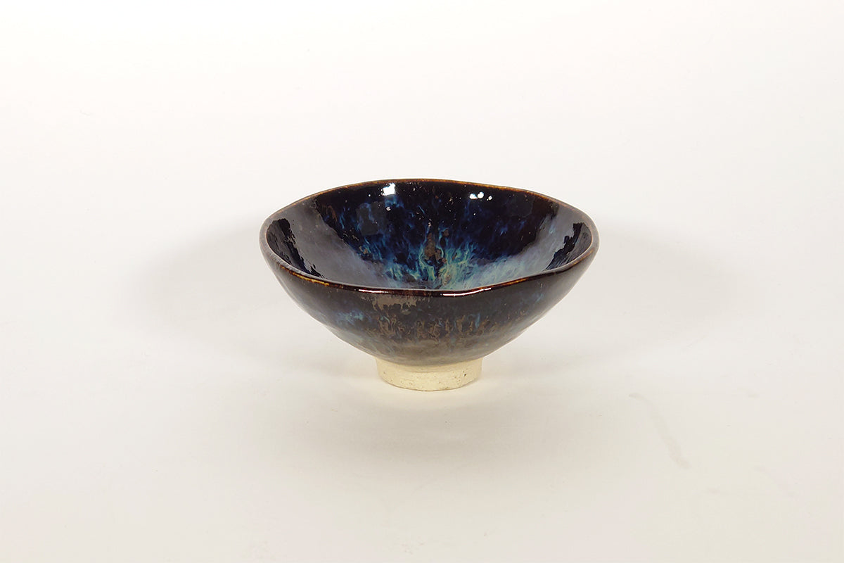 アンドロメダ 大盃【参考品】003