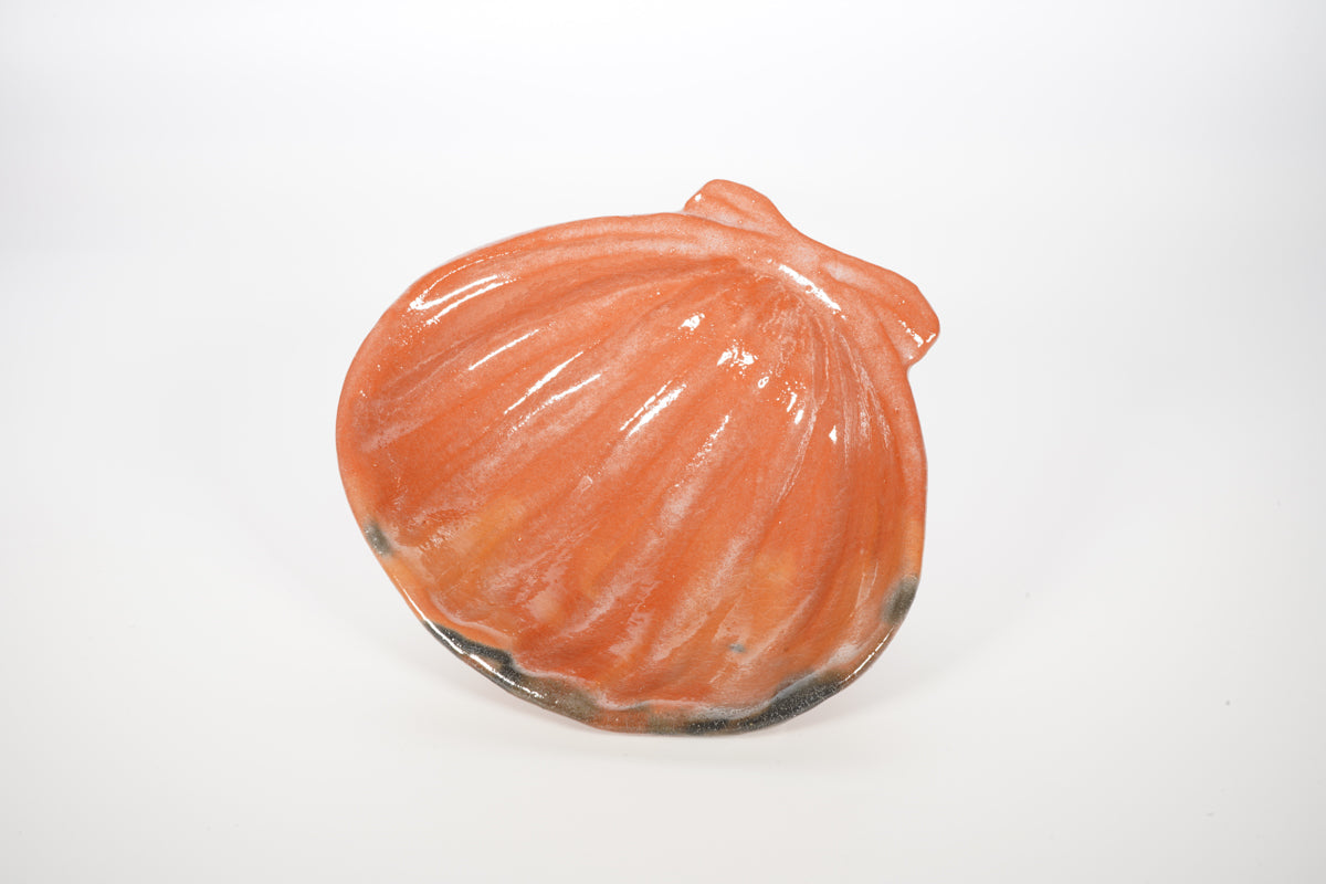 赤楽 ホタテ 向付