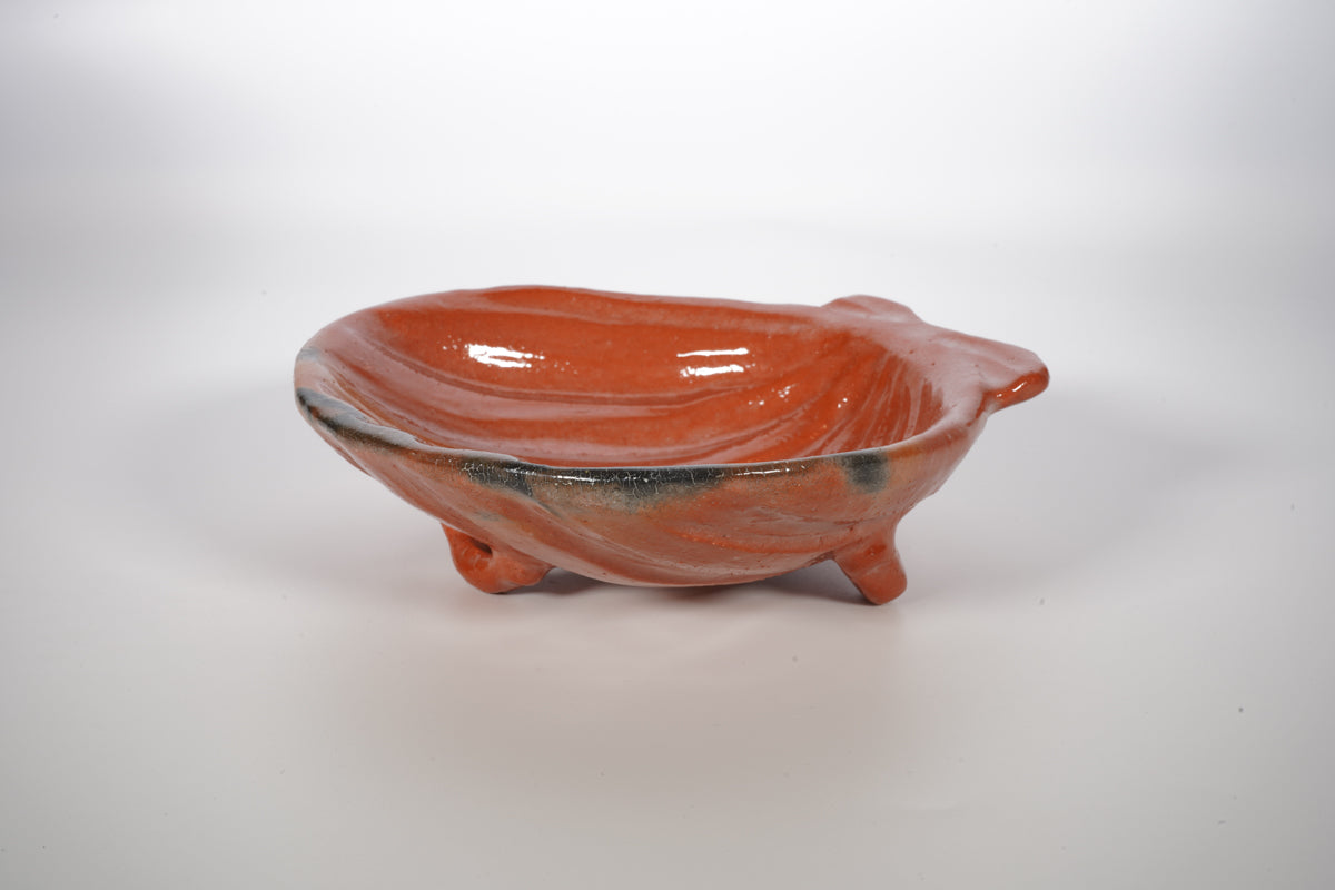 赤楽 ホタテ 向付