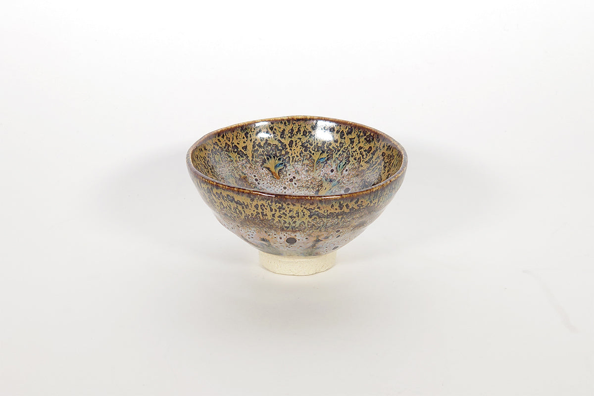 小宇宙 大盃【参考品】001