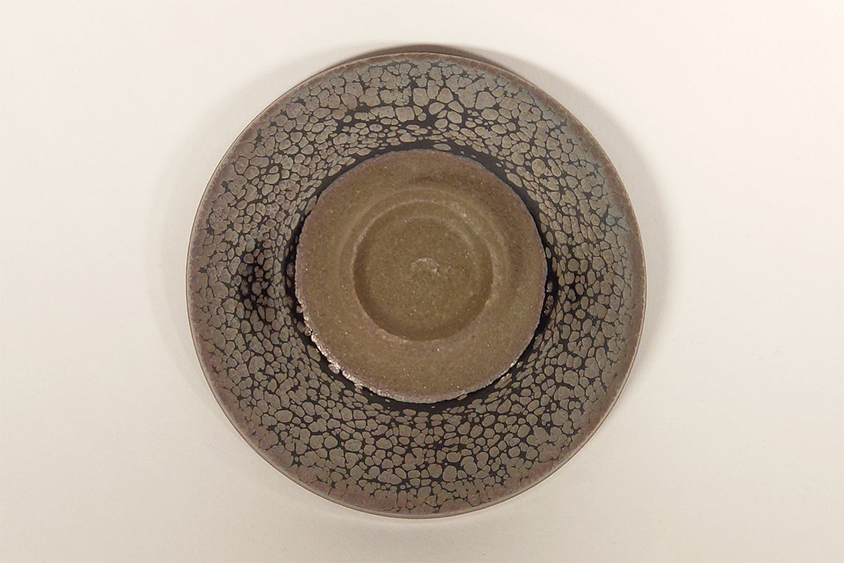 燿変油滴 盃 【参考品】