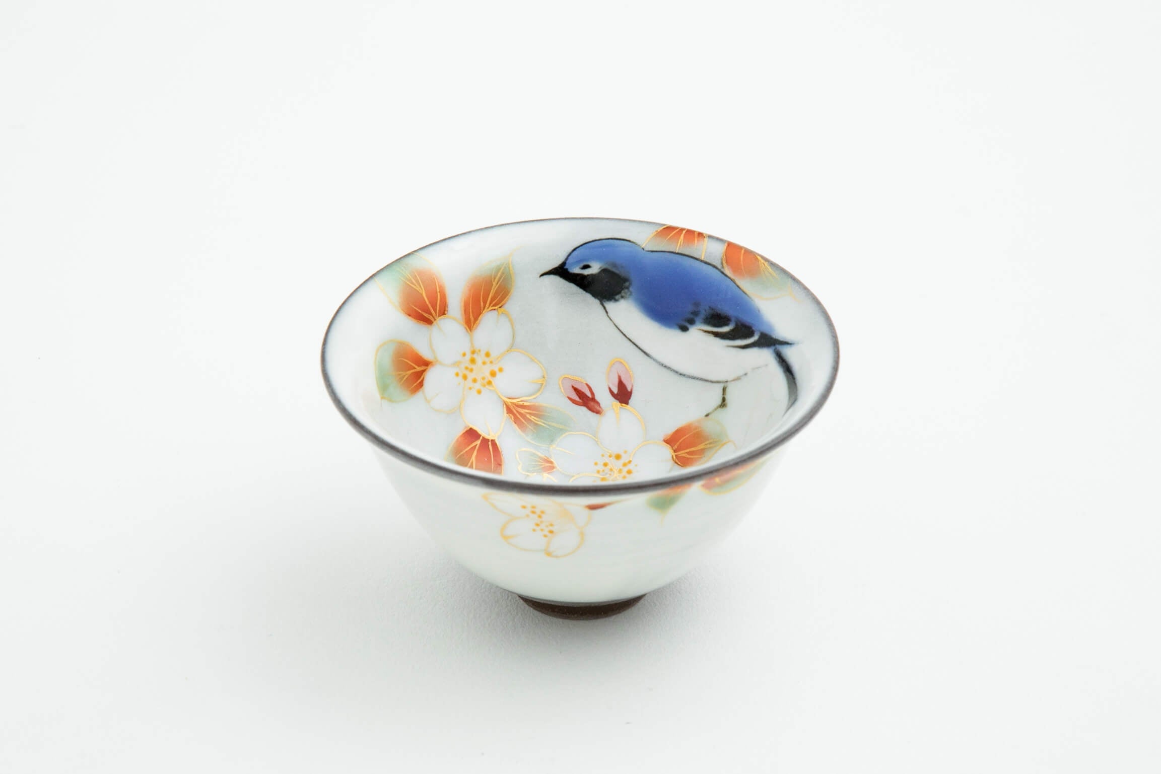 花鳥図 桜 オオルリ 盃